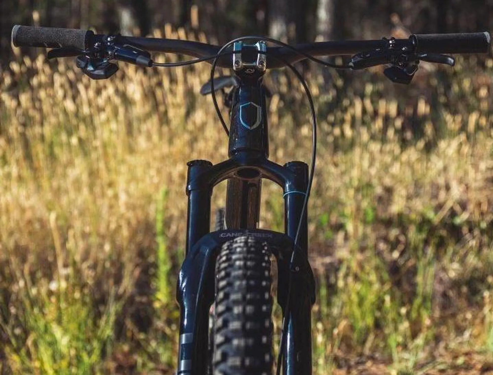 Bike suspension fork